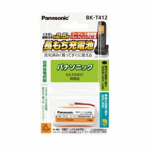 パナソニック BK-T412 充電式ニッケル水素電池 2.4VPanasonic[BKT412] 返品種別A