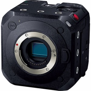 パナソニック DC-BGH1 ミラーレス一眼カメラ「LUMIX BGH1」panasonic[DCBGH1] 返品種別B