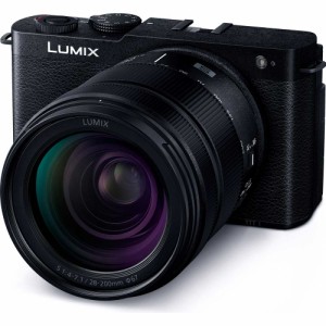 パナソニック フルサイズミラーレス一眼カメラ「LUMIX DC-S9」高倍率ズームレンズキット（ブラック） Panasonic DC-S9H-K返品種別A