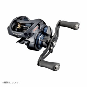 ダイワ 21 スティーズ A TW HLC 8.1L 21 スティーズ A TW HLC 8.1L 左ハンドルDAIWA STEEZ A TW HLC[00630236ダイワ] 返品種別A