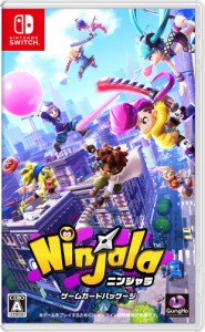 【Switch】ニンジャラ　ゲームカードパッケージ 返品種別B