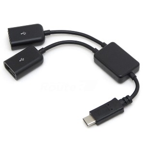 ルートアール RC-OTG2TCB USB2.0 Type-C OTGケーブル 2ポート（ブラック）[RCOTG2TCB] 返品種別A