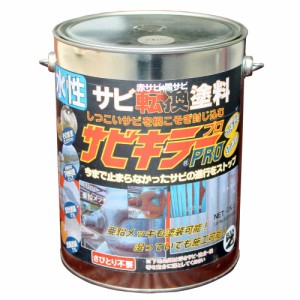 BAN-ZI 9002703 サビキラー プロ 4kg[9002703BANZI] 返品種別B