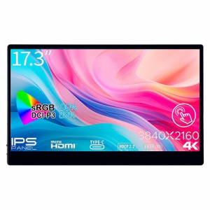 JAPANNEXT（ジャパンネクスト） JN-MD-IPS173UHDR-T 17.3型 モバイル液晶ディスプレイ（4K/IPS/光沢/60Hz/27ms/miniHDMI/USB-C/スピーカ