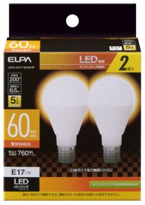 ELPA LDA7L-G-E17-G4106-2P LED電球 ミニクリプトン球形 760lm（電球色相当）【2個セット】エルパ[LDA7LGE17G41062P] 返品種別A