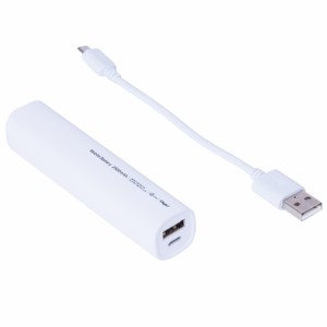 ナカバヤシ MB-0158W モバイルバッテリー（USB×1、Micro-USB×1） 2600mAh（ホワイト）[MB0158W] 返品種別A