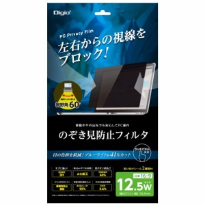 ナカバヤシ SF-FLGPV125W 12.5インチワイド用 のぞき見防止保護フィルム[SFFLGPV125W] 返品種別A