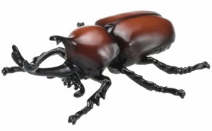 タカラトミー アニア AS-37 カブトムシアニア  返品種別B