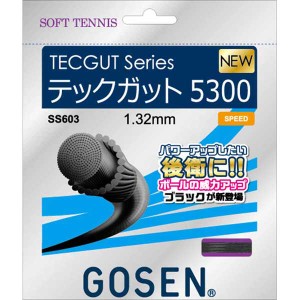 ゴーセン GOS-SS603BK ソフトテニス用ガット　テックガット5300（ブラック・1.32mm×11.5m）GOSEN TECGUT series[GOSSS603BK] 返品種別A