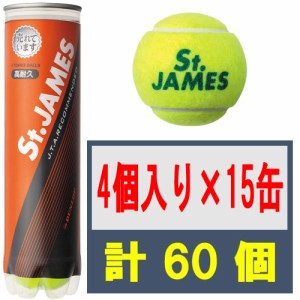 ダンロップ STJAMESJ4CS60 【4球入りボトル×15缶セット】硬式テニスボール St.JAMES(セント・ジェームス)[DUNSTJJCS60] 返品種別A