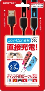 【Switch】ダイレクト充電ケーブルSW 返品種別B