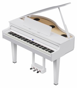 ローランド GP-6-PWS 電子ピアノ【高低自在椅子＆楽譜集付き】（ホワイト）[GP6PWS] 返品種別A