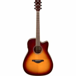 ヤマハ FGC-TA-BS トランスアコースティックギター(ブラウンサンバースト)YAMAHA[FGCTABS] 返品種別A