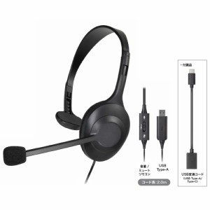 オーディオテクニカ ATH-101USB USB片耳ヘッドセットaudio-technica[ATH101USB] 返品種別A