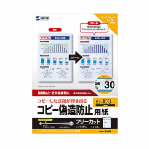 サンワサプライ JP-MTCBB5N マルチタイプコピー偽造防止用紙（B5・100枚入り）[JPMTCBB5N] 返品種別A