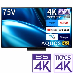 シャープ 75型地上・BS・110度CSデジタル4Kチューナー内蔵 LED液晶テレビ 4T-C75FN1返品種別A