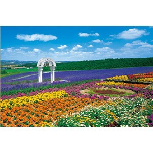 エポック社 日本の風景・花 花の咲く丘−富良野 300ピース【25-081】ジグソ−パズル  返品種別B