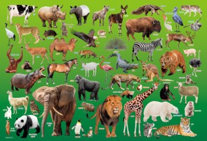 ビバリー 学べるジグソーパズル　動物園 100ピース【100-041】ジグソーパズル  返品種別B