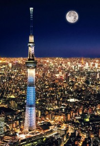 ビバリー 日本風景 東京スカイツリー ナイトビュー 300ピース【93-146】ジグソーパズル  返品種別B