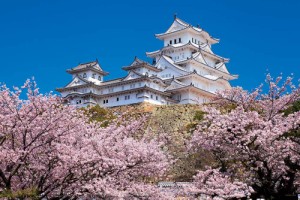 やのまん 日本の風景 千の桜と姫路城（兵庫） 1000ピース【10-1411】ジグソーパズル  返品種別B