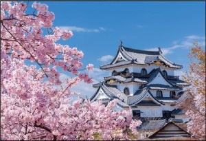 やのまん 日本の風景　国宝彦根城と桜木（滋賀）　108ラージピースジグソーパズル  返品種別B