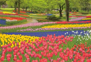 やのまん 日本の風景 花咲く昭和記念公園（東京） 108ピース【01-2090】ジグソーパズル  返品種別B