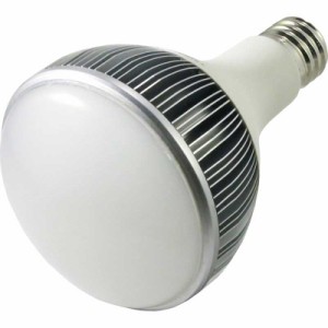 タイカツ TK-LED450N LED投光器 替ランプ 口金E39[TKLED450Nタイカツ] 返品種別B