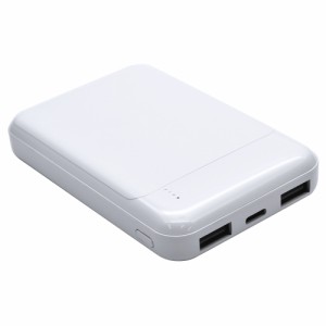 ラスタバナナ RLI050C2A01WH Type-C1ポート/USB2ポート モバイルバッテリー 5000mAh 計2.1A 30cm（ホワイト）[RLI050C2A01WH] 返品種別A