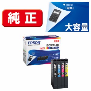 エプソン IB09CL4B ［純正］インクカートリッジ（4色パック/大容量インク）EPSON[IB09CL4B] 返品種別A