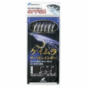 ハヤブサ HS100-5-0.8 小アジ専科 ケイムラサバ皮レインボー HS100 5号 ハリス0.8号HAYABUSA[HS100508] 返品種別A