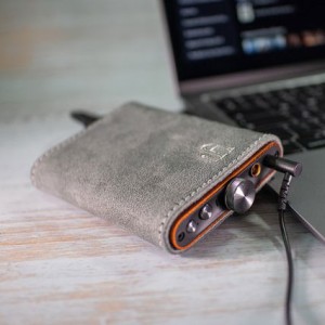 アイファイ・オーディオ HIP-CASE 「HIP-DAC(2)」用ケースiFI-Audio[HIPCASE] 返品種別A