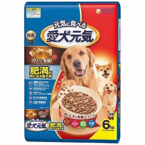 ユニ・チャーム 愛犬元気 肥満が気になる愛犬用6．0kg 返品種別B