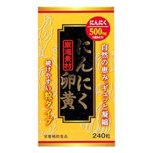 ウエルネスジャパン にんにく卵黄油 240粒 返品種別B