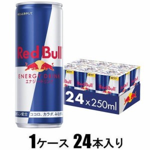 レッドブル レッドブル エナジードリンク 250ml（1ケース24本入） 返品種別B