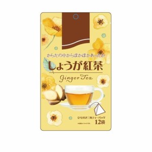 リブ・ラボラトリーズ しょうが紅茶　2g×12袋 返品種別B