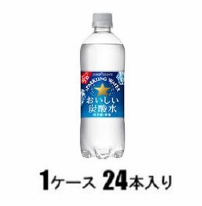 ポッカサッポロ おいしい炭酸水 600ml（1ケース24本入） 返品種別B