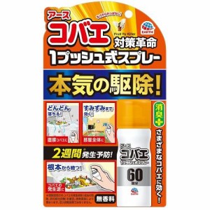 アース製薬 おすだけコバエアーススプレー 60回分 返品種別A