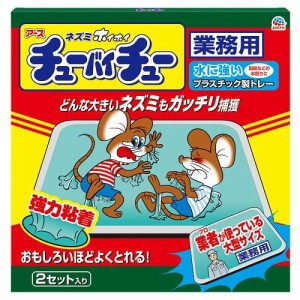 アース製薬 大型チューバイチュー 業務用 2セット 返品種別A