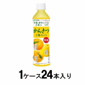 伊藤園 ニッポンエール 国産かんきつ三種ブレンド 400g（1ケース24本入） 返品種別B