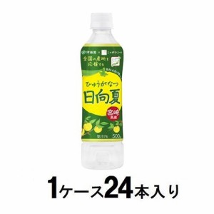 伊藤園 日向夏 宮崎県産 ニッポンエール（1ケース24本入） 返品種別B