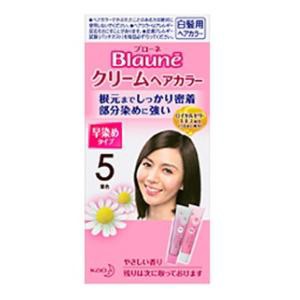 花王 ブローネ クリームヘアカラー 5（栗色） 返品種別A