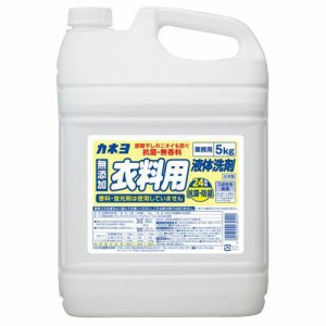 カネヨ石鹸 カネヨ 抗菌・無香料衣料用洗剤 5kg 返品種別A