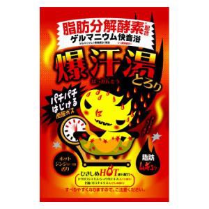 バイソン 爆汗湯 ホットジンジャーの香り 60g 返品種別A