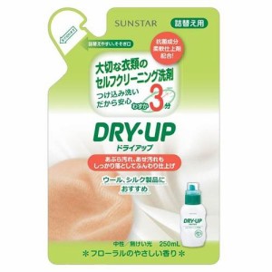 サンスター ドライアップ つめかえ用 250ml 返品種別A