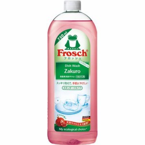 旭化成ホームプロダクツ フロッシュ　食器用洗剤　ザクロ　つめかえ用　750ml 返品種別A