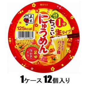 五木食品 ちっこいにゅうめん 醤油仕立て 90g（1ケース12個入） 返品種別B