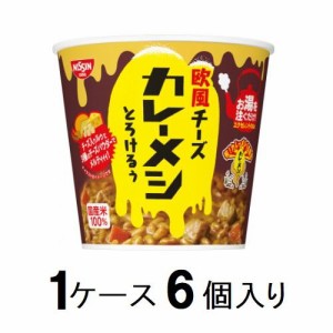 日清食品 欧風チーズカレーメシ とろけるぅ101g （1ケース6個入） 返品種別B