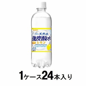 サンガリア 伊賀の天然水　強炭酸水 レモン 500ml（1ケース24本入） 返品種別B