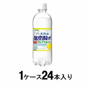 サンガリア 伊賀の天然水　強炭酸水グレープフルーツ 500ml（1ケース24本入） 返品種別B