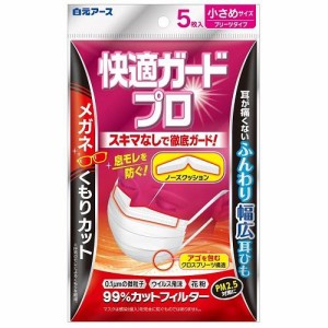 白元アース 快適ガードプロ プリーツタイプ 小さめサイズ5枚入 返品種別A